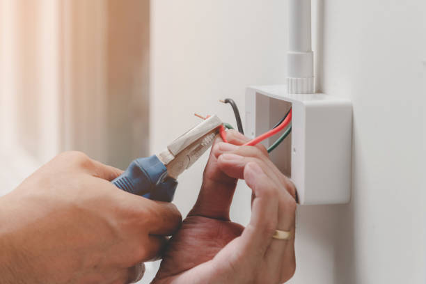 Best Electrical Panel Upgrades  in Roscoe, IL